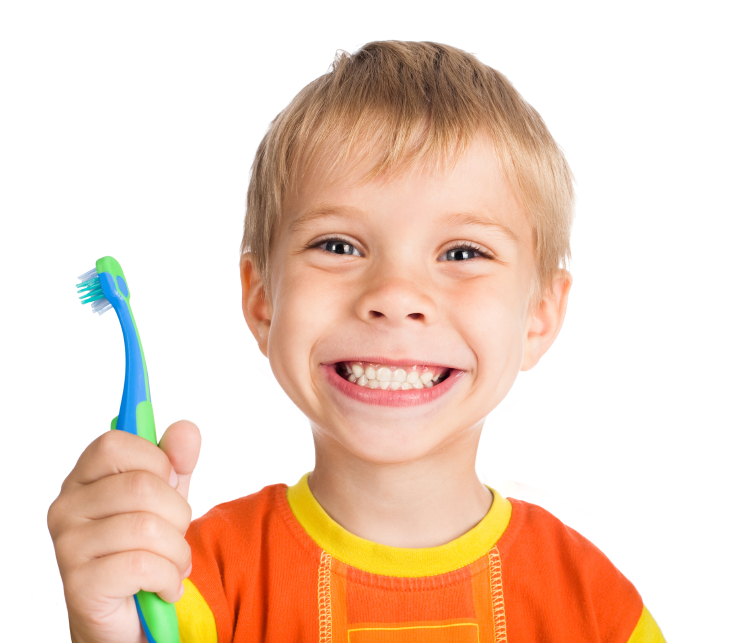 Little boy smiling broadly holding a child's toothbrush